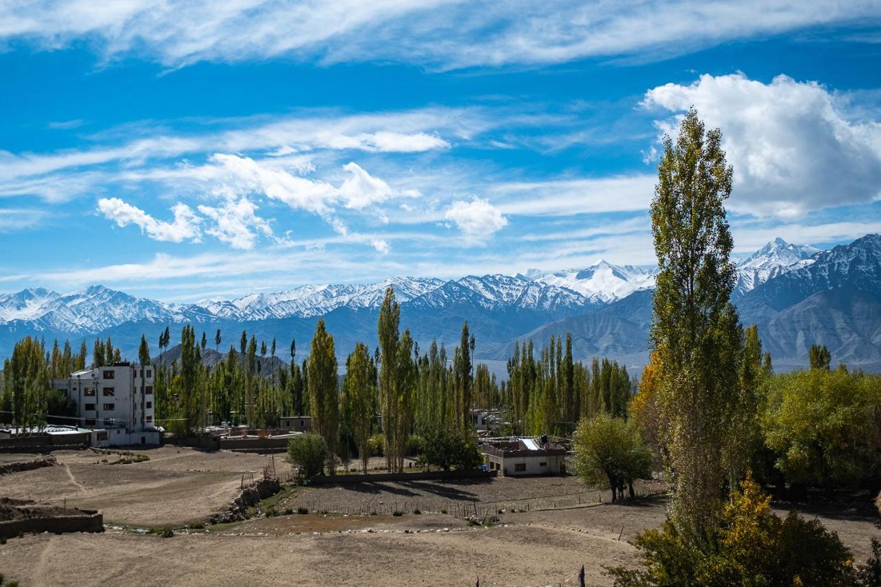Yangphel Guest House Leh Exterior foto